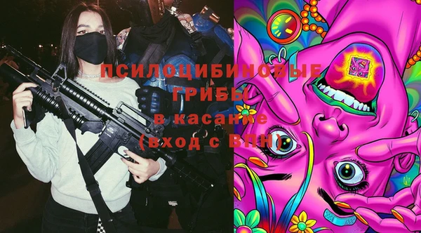 мдпв Тайга