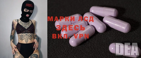 мдпв Тайга