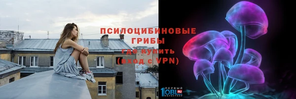 мдпв Тайга