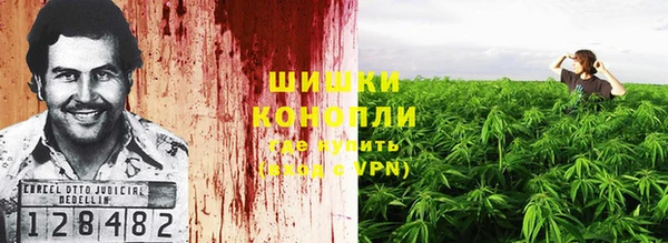 мдпв Тайга