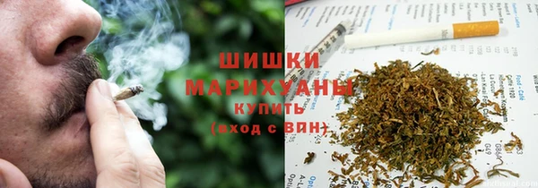 мдпв Тайга